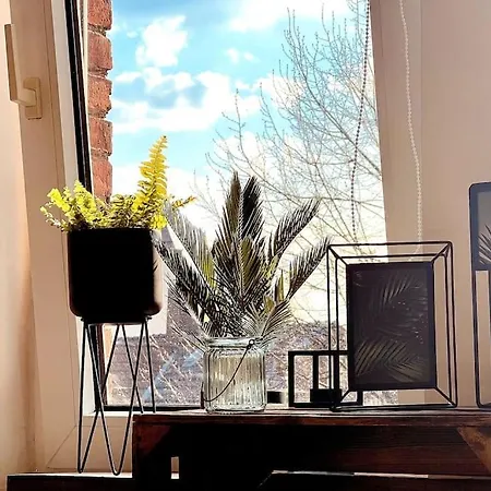 Apartment Suburban Jungle